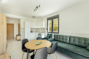 Apartment Ava